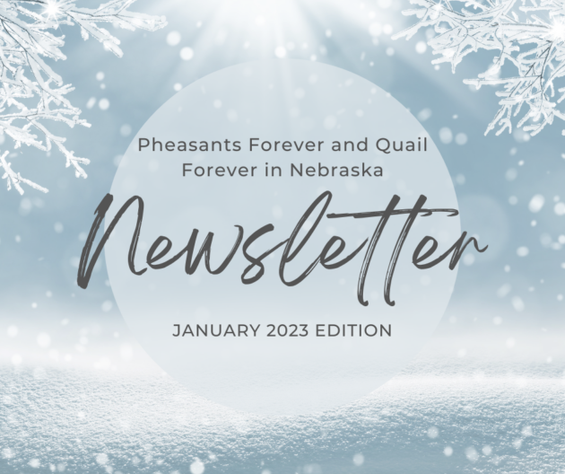 Newsletter: January 2023 Edition