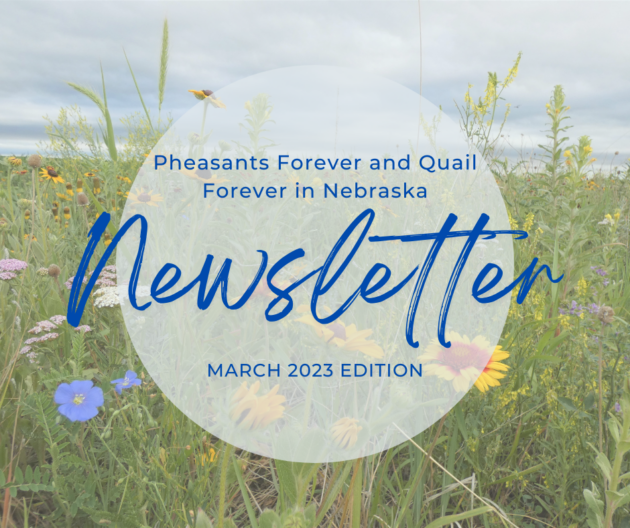 NEWSLETTER: MARCH 2023 EDITION